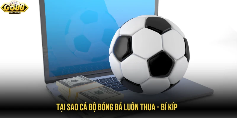Tại sao cá độ bóng đá luôn thua - Bí kíp